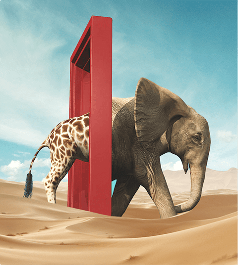 Freelancer und Agentur